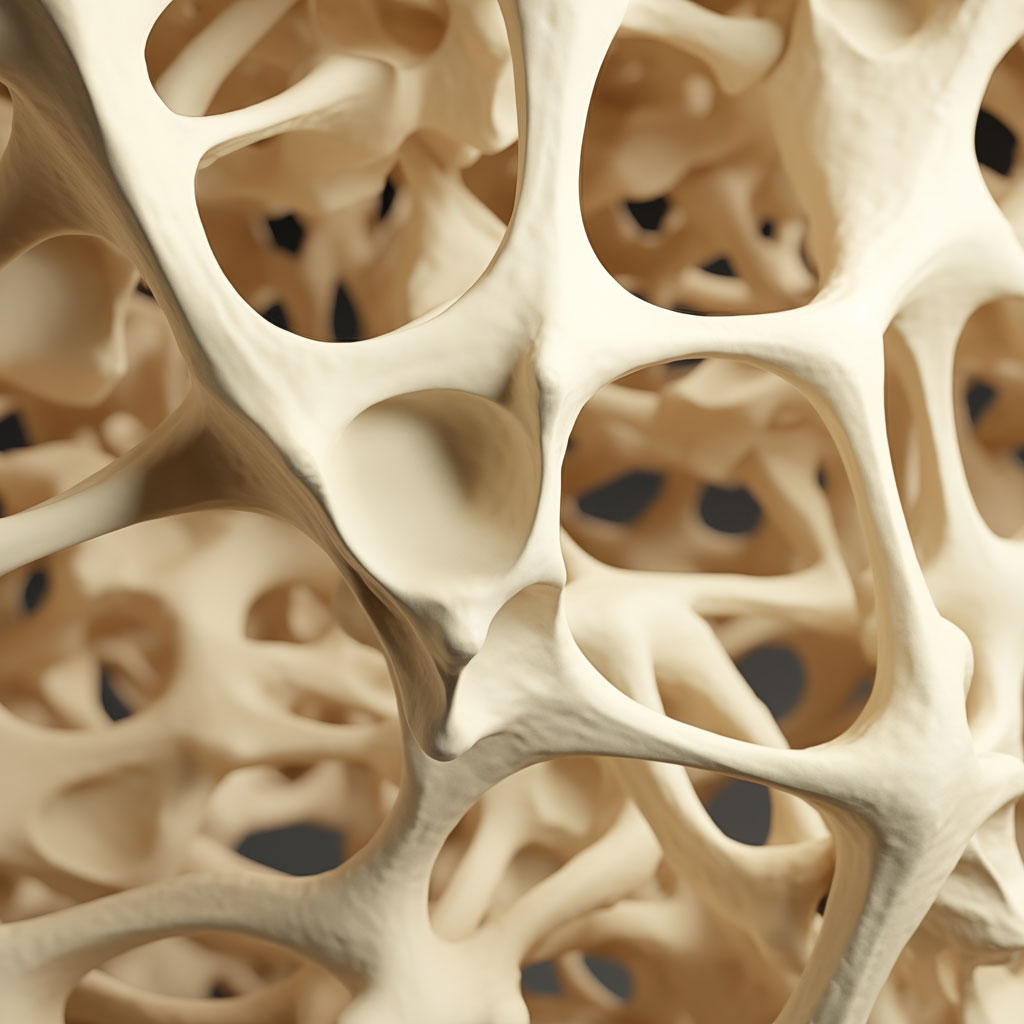 bone densitometry test bone render